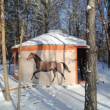 Luxury tent Jurta Na Skraju Lasu Zawady (Silesia)